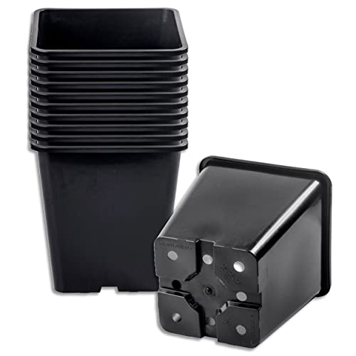 Wohnkult 10 X Pflanztopf 11 L Schwarz 25x25x26cm