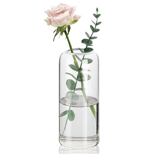 Anquephd Mini Vasen Glas Hochzeitsdekoration F R Tische