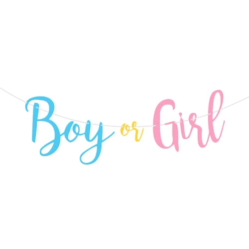 Ally Magic Gender Reveal Party Deko Babyparty Girlande