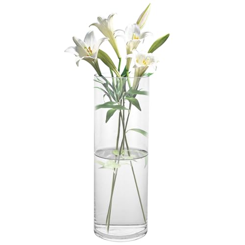 Zofun 30cm Glasvase Gro Gross Klar Glas Blumenvase
