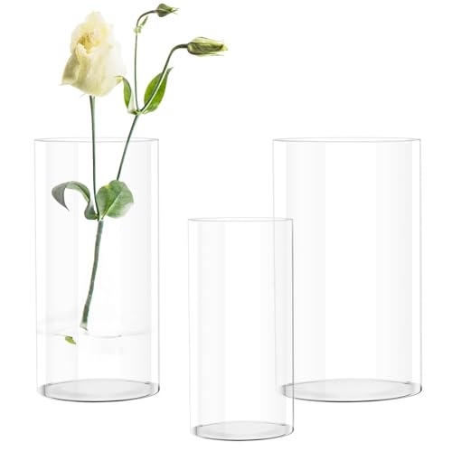 Ravytha Vase Vasen Blumenvase Set Blumenvasen Deko Zylindervasen