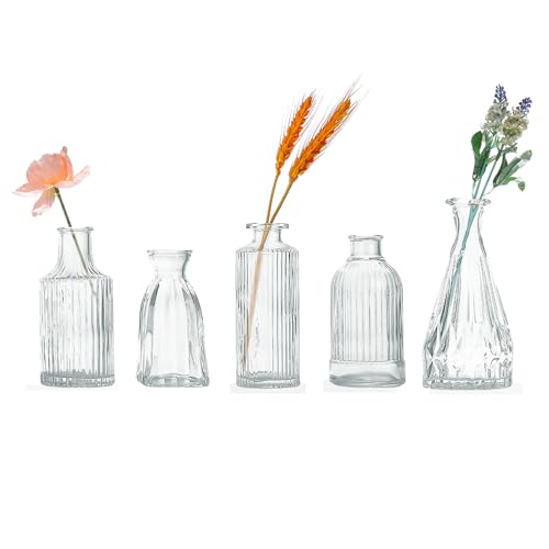Glas Budenvasen Set Mit 5 St Ck Mini