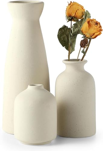 Sawoake Beige Keramik Vasen 3er Set Kleine Blumenvasen