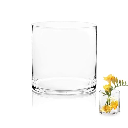 Tskdkit Glas Blumenvase Modern Zylinder Vasen Handgemacht Kristall
