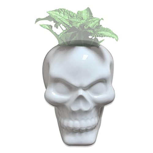 Mtb More Energy Deko Wandvase Brain Plant Blumentopf