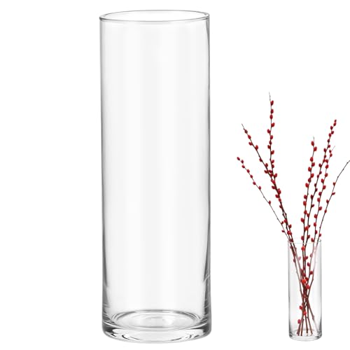 Qwork Gro E Zylindrische Glasvase 30x10cm Moderne Klare