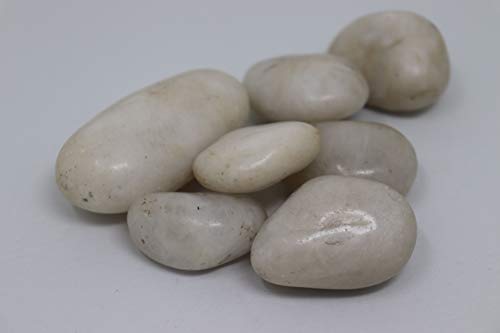 Aquagart Polierte Kieselsteine Dekosteine I Glanzkies Gro E