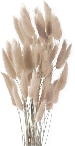 Pampasgras Trockenblumen 50 St Ck Elegantes Pampasgras Deko
