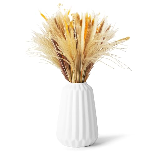 Caixinyi 100 Nat Rliche Getrocknete Pampasgras Deko Trockenblumen