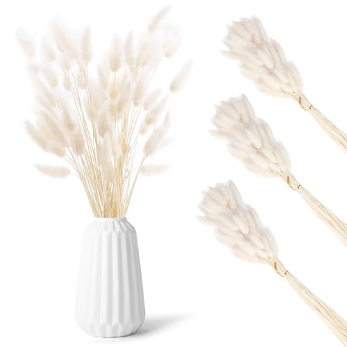 180 St Ck Hasenschwanz Trockenblumen Getrocknete Pampasgras Ewige