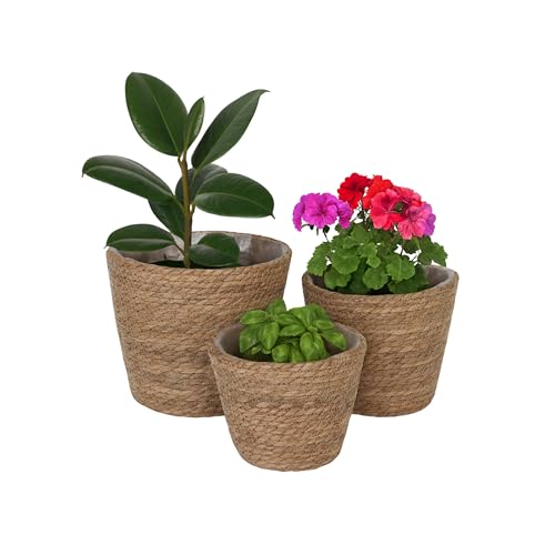 Relaxdays Blumentopf 3er Set Schilf Pflanzent Pfe Mit