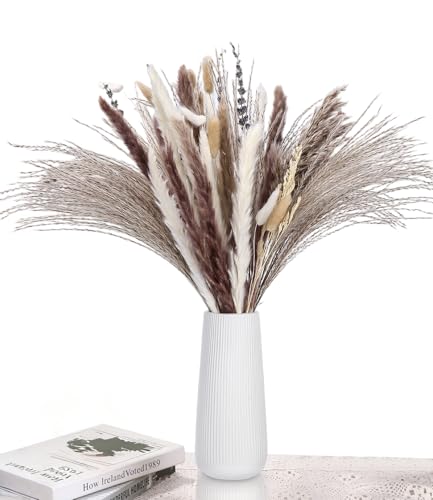 Qixora 102 St Ck Pampasgras Getrocknet Trockenblumen Getrocknete
