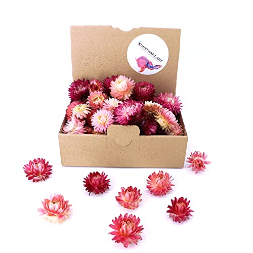 Getrocknete Blumen Als Fr Hlingsdeko Und Zum Kranz