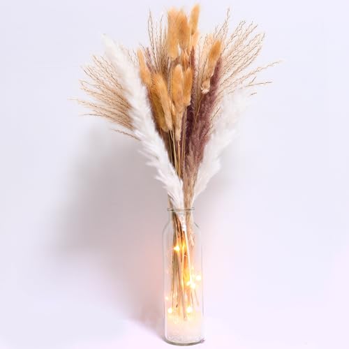 60 St Ck Pampasgras Getrocknet Mit Vasen Und