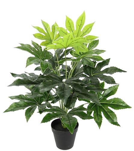 K Nstliche Blattpflanze Im Topf Aralie 60 Cm