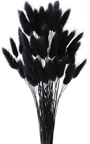 Yeehliny Pflanzenstiele L Ndlicher Stil Hasenschwanz Trockenblumen Deko