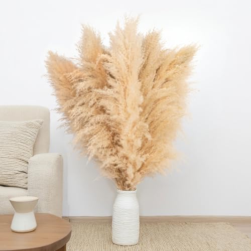 Pampasgras Gro 100 Cm Trockenblumenstrau Xxl Trockenblumen Boho