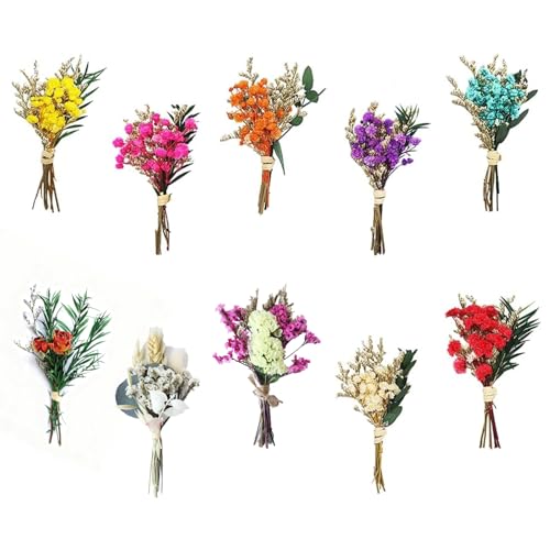 10 St Ck Kleine Trockenblumenstr U E Mini