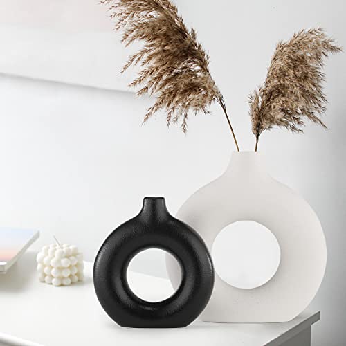 Sawoake Vasen F R Pampasgras 2pc Creative Vase