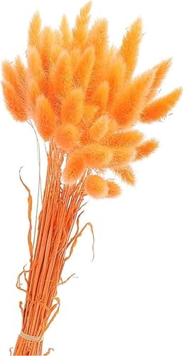 Pampasgras Trockenblumen 50 St Ck Elegantes Pampasgras Deko