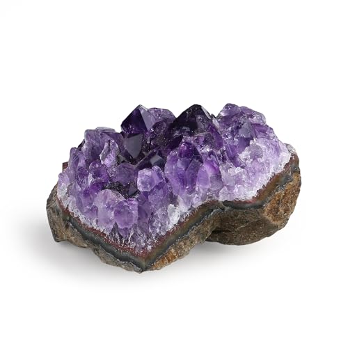 Sahoottie Amethyst Druse Kristalle Druse Rohstein Geode Unregelm