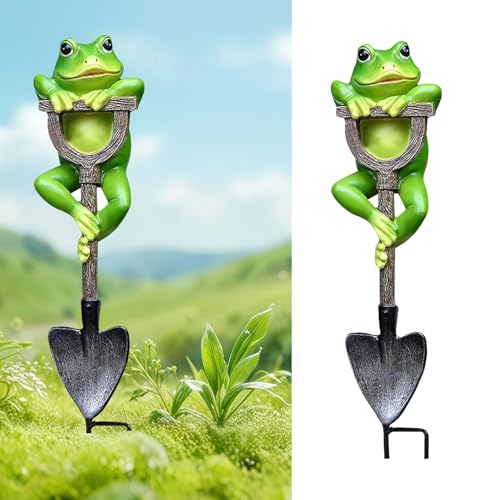 Norhogo 1 St Cke Frosch Deko Frosch Deko