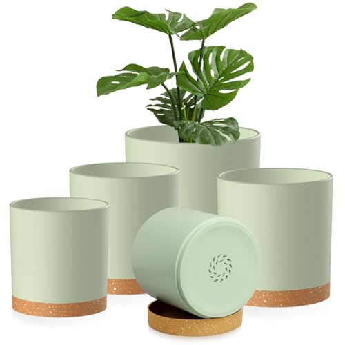 Homeuouz 5 Packs Blumentopf Mit Untersetzer 17 8