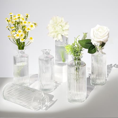 Wintfarm 6 St Ck Kleine Vasen Kleine Vasen