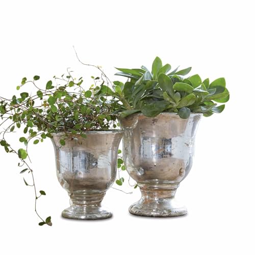 Loberon Bertopf Set Banon Blumentopf Set Aus Terrakotta