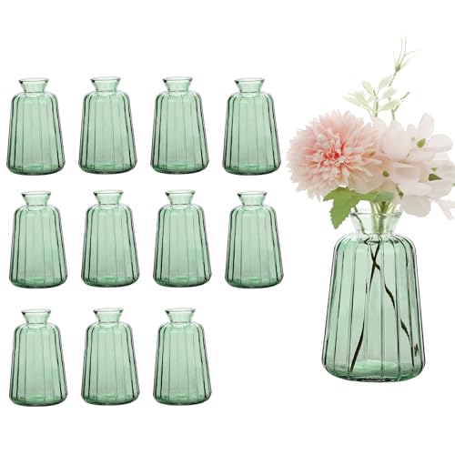 Avmvnvc Kleine Glasvasen 12er Set Kleine Vasen F