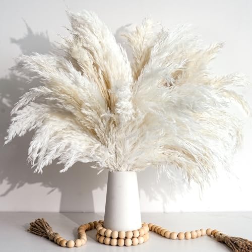 20 Wei Pampasgras Deko Sthetische Vasen Und Vintage