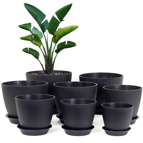 Homeuouz 8 Packs Blumentopf Mit Untersetzer 19 17