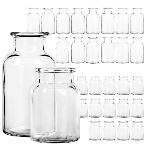30 Teiliges Minivasen P Rchen Set Aus Glas