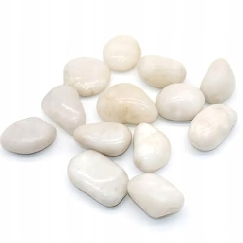 Generisch Wei Polierte Kieselsteine Dekosteine I Glanzkies Gro