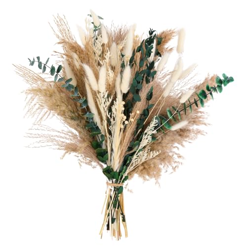 Pampasgras Deko Trocken 44cm Hoch Sch Ner Pampasstrau