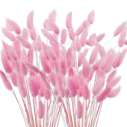 120 St Ck Trockenblumen Klein Pampasgras 40cm Rosa