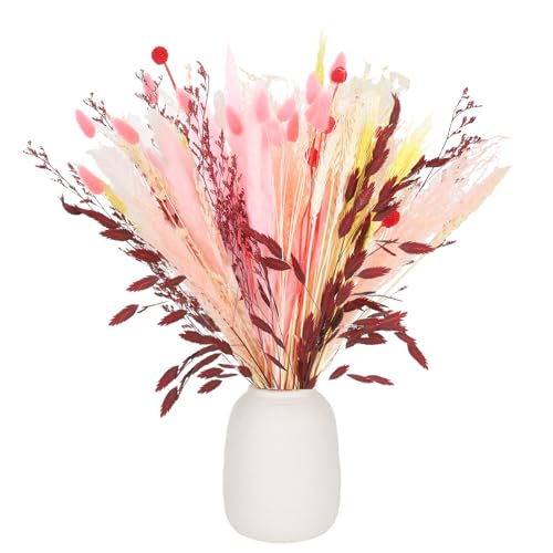 Rosewinec 60 St Ck Trockenblumen Deko Set Nat