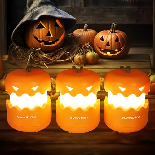Everbrite Halloween K Rbislaterne 3 St Ck Tragbar
