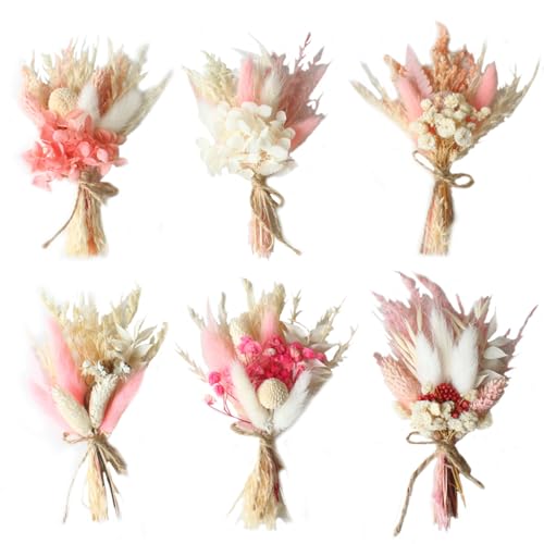 6 B Ndel Trockenblumenstrau Mini Echten Trockenblumen Zum