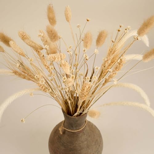 Meine Orangerie Trockenblumen Set 136 Stiele Trockenblumenstrau Stilvolle
