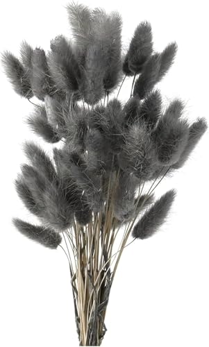 Pampasgras Trockenblumen 50 St Ck Elegantes Pampasgras Deko