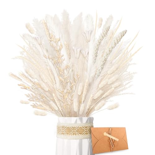 Zjtape Pampasgras Getrocknet Nat Rliche Trockenblumen Pampasgras Wei