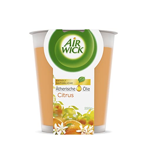 Air Wick Wohlf Hl Duftkerze Xl Im Glas