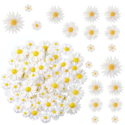 Bohuiz 100 St Ck G Nsebl Mchen Deko