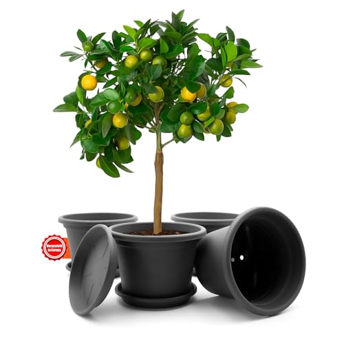 Bigdean 4 St Ck Blumentopf Mit Untersetzer Rund