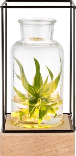Gadgy Beleuchtete Glasvase Mit Led Moderne Blumenvase 8cm