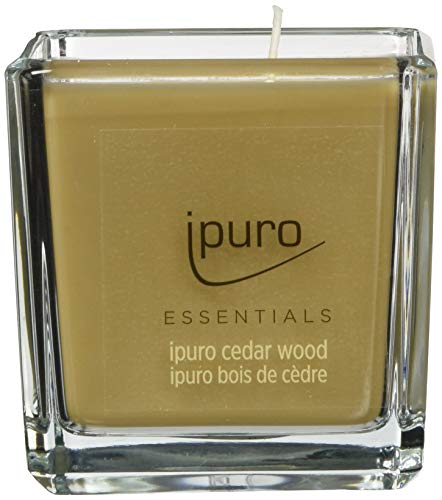 Ipuro Dekorative Cedar Wood Minimalistische Puristische Duftkerzen Im