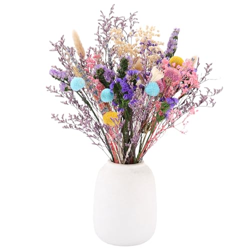Xialvyu 34 St Ck Trockenblumenstrau 13 Sorten Trockenblumen