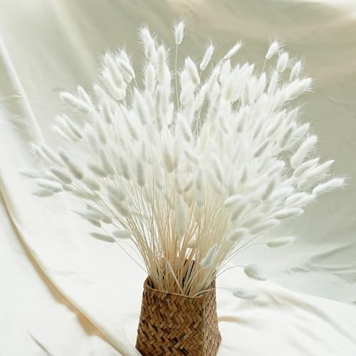 Naunauya 120 Pcs Pampas White Trockenblumen Pampasgras Strohblumen