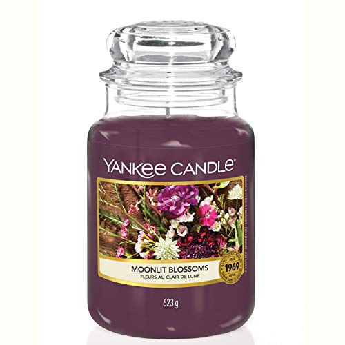 Yankee Candle Duftkerze Im Gro En Jar Moonlit